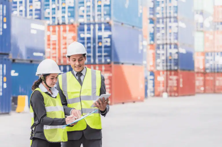 Inspect the Yard Prior to Undertaking any Project